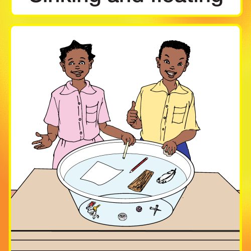 Sinking and floating Wall Chart