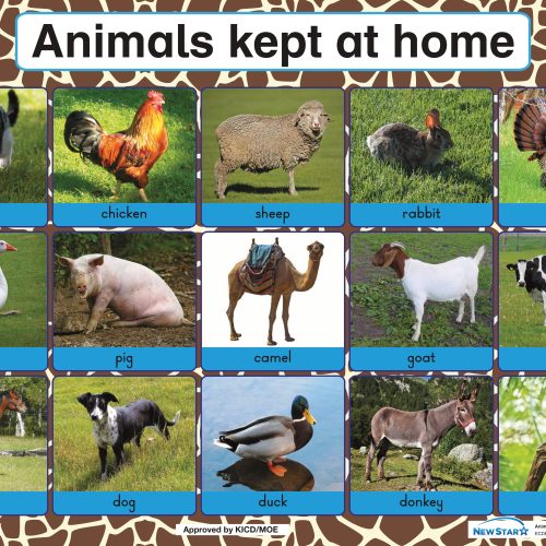 Animals kept at home Wall Chart