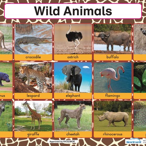Wild Animals Wall Chart