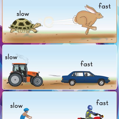 Fast and Slow Wall Chart