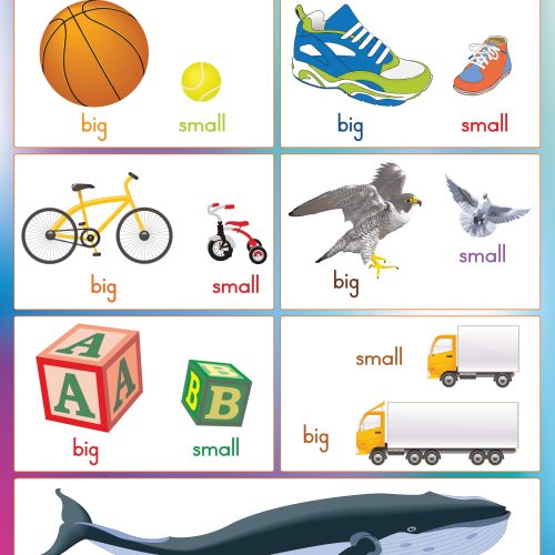 Big and Small Wall Chart